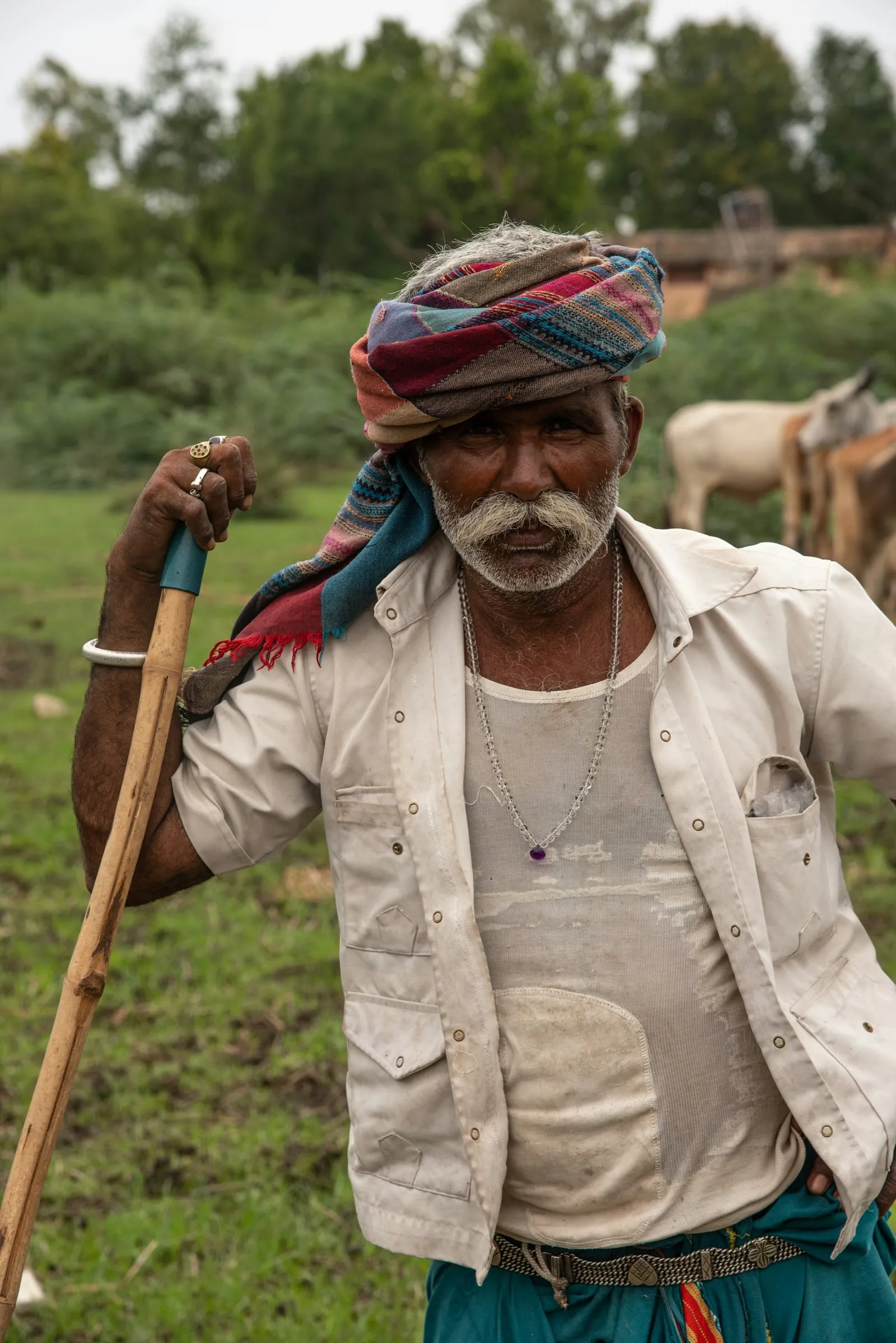 An older farmer in a turban leaning on his stick in a field