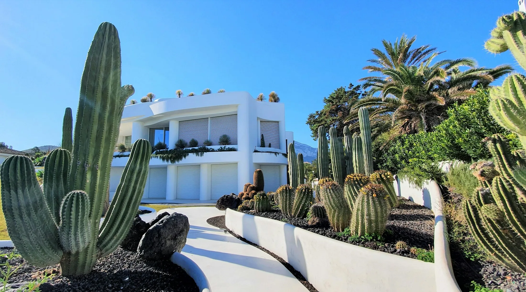 A white villa with cactus and palm beds along a path