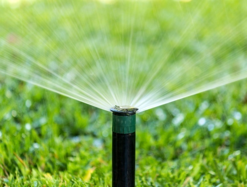 Green and Green - Services - Greener Solutions, Smarter Landscapes - Agronomy Support