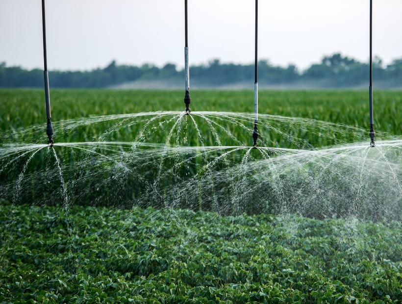Green and Green - Services - Greener Solutions, Smarter Landscapes - Project Execution & Management