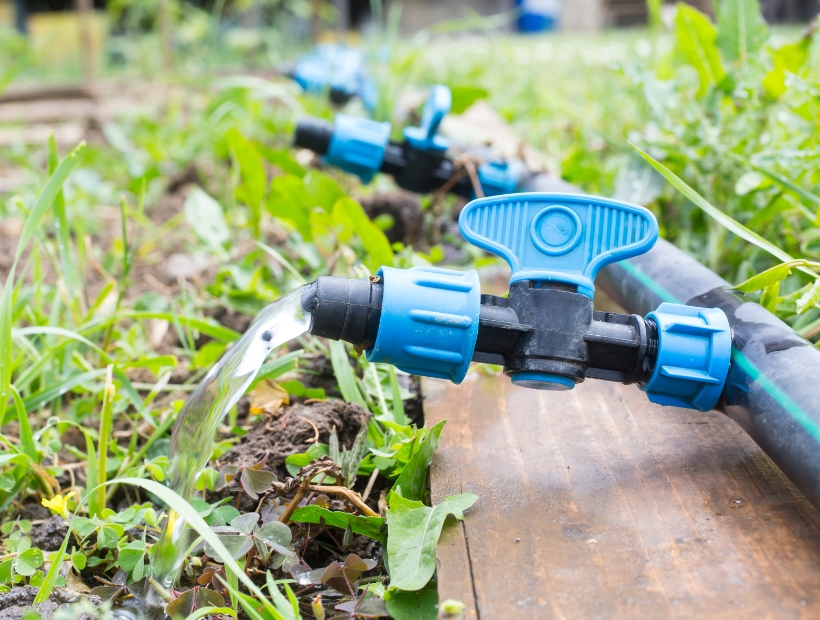 Green and Green - Services - Greener Solutions, Smarter Landscapes - Training & Capacity Building