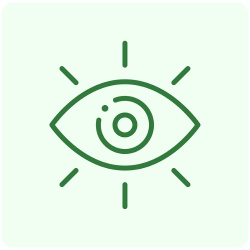 Green and Green - About us - Vision